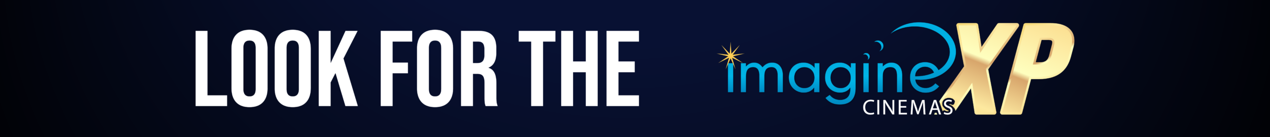 banner image- with the ImagineXP logo